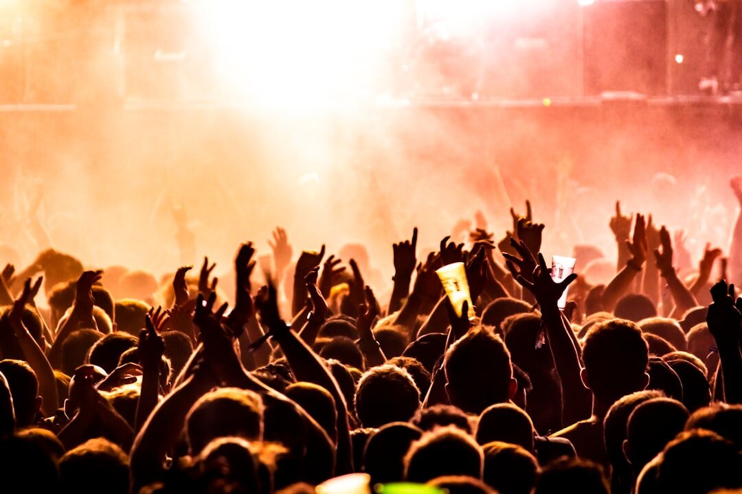 crowd at live concert